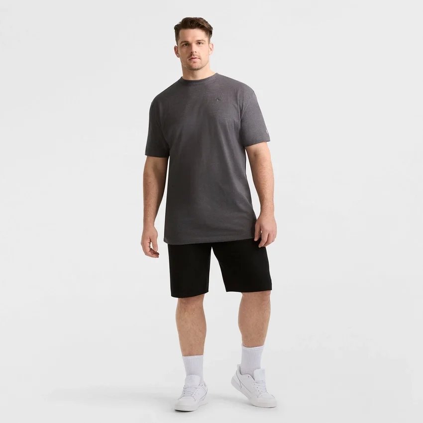Klassiek T-shirt, C Logo - Big & Tall