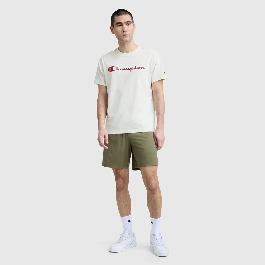 Klassiek T-shirt met print, Script Logo