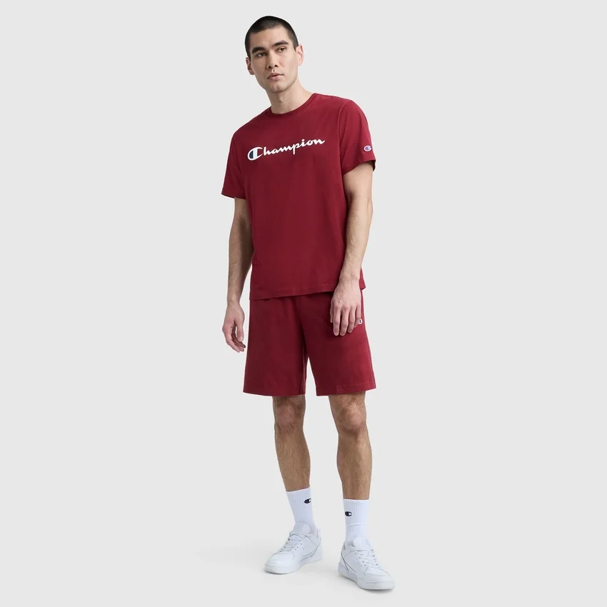 Klassiek T-shirt met print, Script Logo