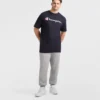 Klassiek T-shirt met print, Script Logo – Big & Tall