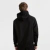 Reverse Weave Small C-hoodie